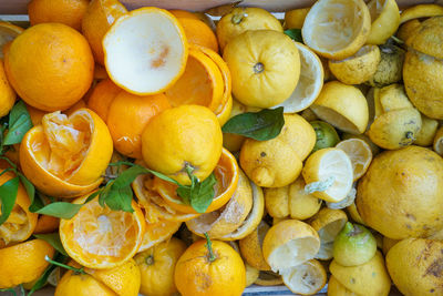 Full frame shot of fruits for sale at market stall