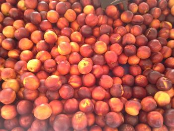 Full frame shot of red cherries