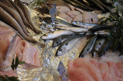 Close-up of fish for sale in market