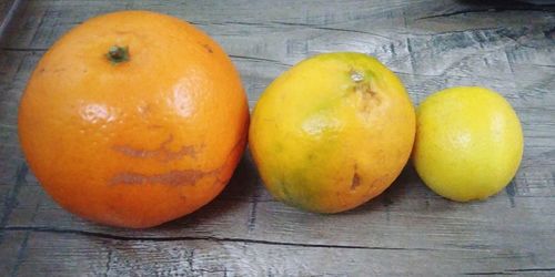 High angle view of oranges on table