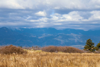 Scenic view of field against sky