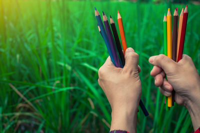 Cropped hands of man holding colored pencils