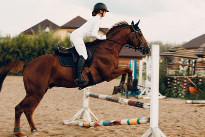 Man riding horse