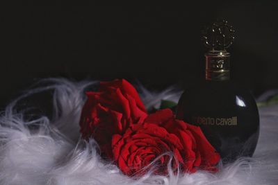 Close-up of red flower on table against black background