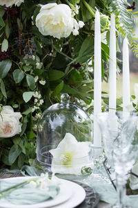 Close-up of white flowers on table