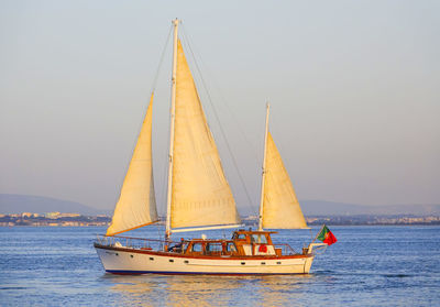 Sailboat sailing on sea against clear sky