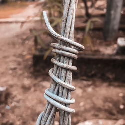 Close-up of chain tied up on rope