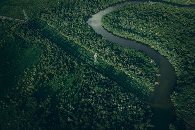 High angle view of agricultural field