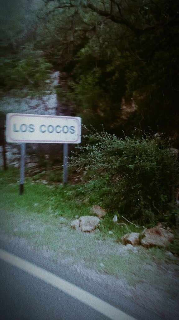 Los cocos