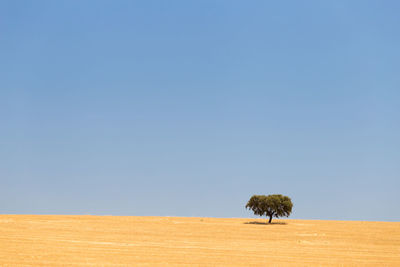 Scenic view of land against clear sky