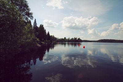 Reflection of trees in water against sky