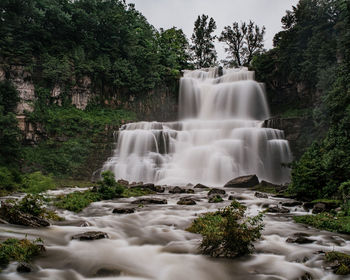 Scenic view of waterfall in forest