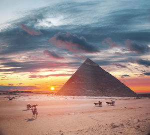 People on beach during sunset