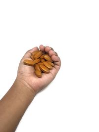 Close-up of hand holding leaf over white background