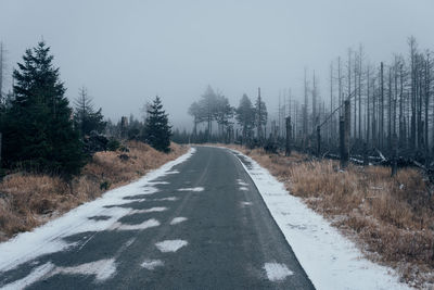 Road amidst trees during winter