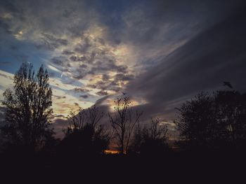 Silhouette trees against sky during sunset