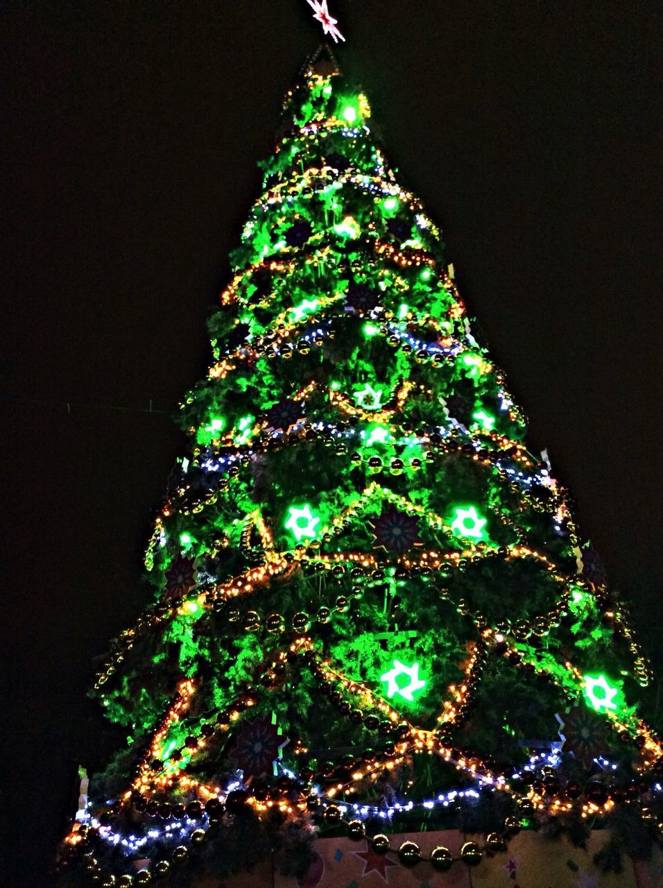 night, low angle view, tree, illuminated, growth, branch, decoration, lighting equipment, green color, christmas decoration, christmas, nature, clear sky, christmas tree, celebration, outdoors, no people, beauty in nature, hanging, light - natural phenomenon