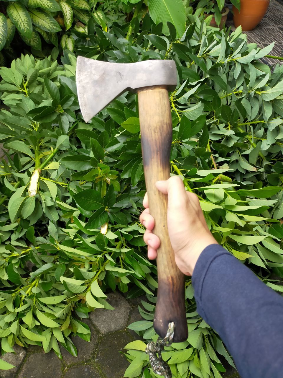 HUMAN HAND HOLDING LEAF