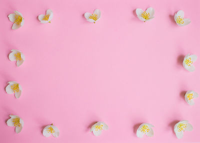 Full frame shot of pink flowers