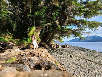 Girl sitting on swing over rock by trees and sea