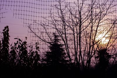 Silhouette bare trees against sky