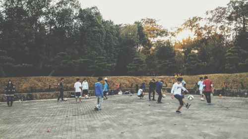 Woman standing on tree trunk