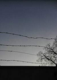 Low angle view of silhouette birds flying against clear sky