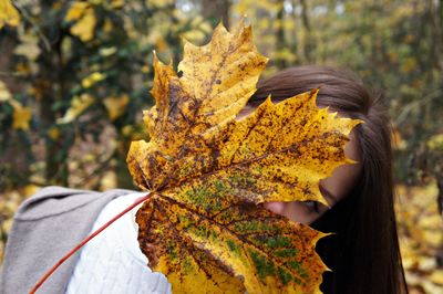 Close-up of woman holding maple leaves on tree