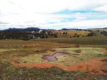 Scenic view of field against sky