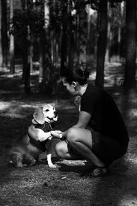 Dog and people on street