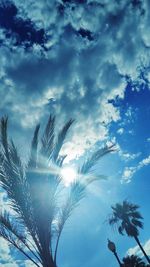 Low angle view of palm trees against blue sky