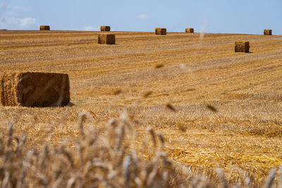 Hay bales on field against sky