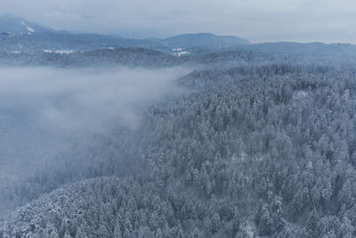 winter