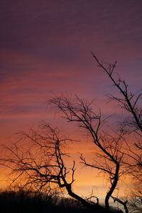 Silhouette bare tree against sky during sunset