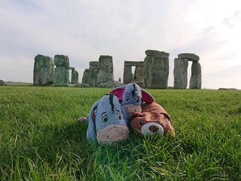 View of shoes on field