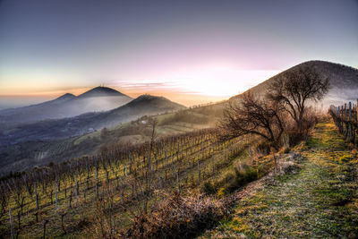 Scenic view of landscape against sky during sunset