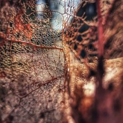 Close-up of rusty metal fence