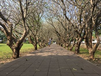 Full length of woman standing on footpath in park