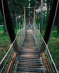 View of footbridge in forest