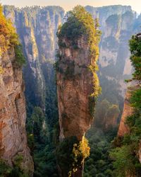 View of trees on rock formations