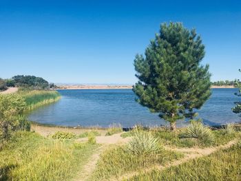 Scenic view of lake against clear blue sky