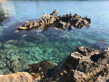 High angle view of rock formation in sea