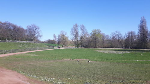 View of grassy field against sky