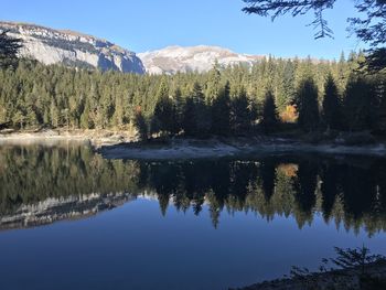 Scenic view of lake in forest against sky