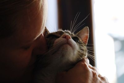 Close-up of woman kissing cat at home