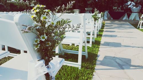 Plants growing in backyard