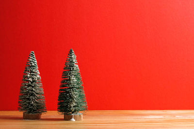 Close-up of small christmas trees on wooden table against red background