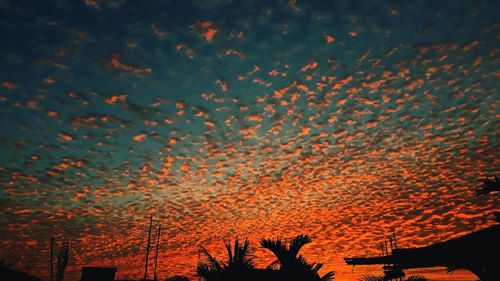 Low angle view of silhouette trees against orange sky