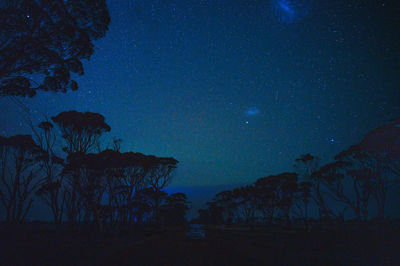 Silhouette trees against sky at night