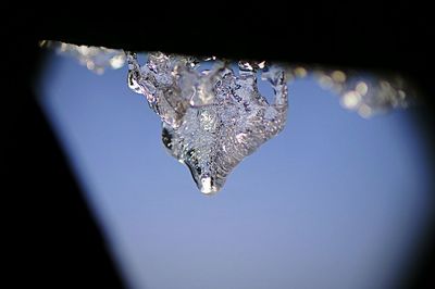 Close-up of water drop